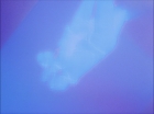 Filename=ariane179254_StarTrek_1x27_TheAlternativeFactor_0839.jpg
Filesize=63KiB
Dimensions=1440x1080
Date added=Sep 13, 2015 ariane179254_StarTrek_1x27_TheAlternativeFactor_0839.jpg