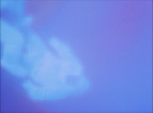 ariane179254_StarTrek_1x27_TheAlternativeFactor_0843.jpg