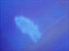 ariane179254_StarTrek_1x27_TheAlternativeFactor_0851.jpg