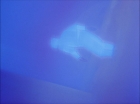 Filename=ariane179254_StarTrek_1x27_TheAlternativeFactor_0853.jpg
Filesize=69KiB
Dimensions=1440x1080
Date added=Sep 13, 2015 ariane179254_StarTrek_1x27_TheAlternativeFactor_0853.jpg