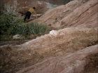 ariane179254_StarTrek_1x27_TheAlternativeFactor_0881.jpg