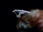 Filename=ariane179254_StarTrek_1x27_TheAlternativeFactor_0926.jpg
Filesize=68KiB
Dimensions=1440x1080
Date added=Sep 13, 2015 ariane179254_StarTrek_1x27_TheAlternativeFactor_0926.jpg