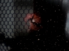 Filename=ariane179254_StarTrek_1x27_TheAlternativeFactor_1108.jpg
Filesize=75KiB
Dimensions=1440x1080
Date added=Sep 13, 2015 ariane179254_StarTrek_1x27_TheAlternativeFactor_1108.jpg