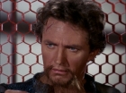 Filename=ariane179254_StarTrek_1x27_TheAlternativeFactor_1166.jpg
Filesize=146KiB
Dimensions=1440x1080
Date added=Sep 13, 2015 ariane179254_StarTrek_1x27_TheAlternativeFactor_1166.jpg