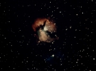 Filename=ariane179254_StarTrek_1x27_TheAlternativeFactor_1719.jpg
Filesize=52KiB
Dimensions=1440x1080
Date added=Sep 13, 2015 ariane179254_StarTrek_1x27_TheAlternativeFactor_1719.jpg