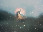 Filename=ariane179254_StarTrek_1x27_TheAlternativeFactor_1747.jpg
Filesize=110KiB
Dimensions=1440x1080
Date added=Sep 13, 2015 ariane179254_StarTrek_1x27_TheAlternativeFactor_1747.jpg