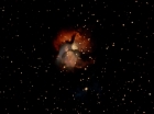 Filename=ariane179254_StarTrek_1x27_TheAlternativeFactor_2648.jpg
Filesize=50KiB
Dimensions=1440x1080
Date added=Sep 13, 2015 ariane179254_StarTrek_1x27_TheAlternativeFactor_2648.jpg