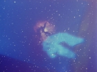 Filename=ariane179254_StarTrek_1x27_TheAlternativeFactor_3145.jpg
Filesize=96KiB
Dimensions=1440x1080
Date added=Sep 13, 2015 ariane179254_StarTrek_1x27_TheAlternativeFactor_3145.jpg