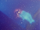 ariane179254_StarTrek_1x27_TheAlternativeFactor_3146.jpg