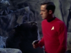 Filename=ariane179254_StarTrek_1x28_TheCityOnTheEdgeOfForever_0461.jpg
Filesize=85KiB
Dimensions=1440x1080
Date added=Sep 13, 2015 ariane179254_StarTrek_1x28_TheCityOnTheEdgeOfForever_0461.jpg