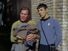 Filename=ariane179254_StarTrek_1x28_TheCityOnTheEdgeOfForever_1103.jpg
Filesize=168KiB
Dimensions=1440x1080
Date added=Sep 13, 2015 ariane179254_StarTrek_1x28_TheCityOnTheEdgeOfForever_1103.jpg