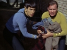 Filename=ariane179254_StarTrek_1x28_TheCityOnTheEdgeOfForever_1128.jpg
Filesize=126KiB
Dimensions=1440x1080
Date added=Sep 13, 2015 ariane179254_StarTrek_1x28_TheCityOnTheEdgeOfForever_1128.jpg