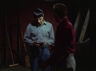 Filename=ariane179254_StarTrek_1x28_TheCityOnTheEdgeOfForever_1233.jpg
Filesize=82KiB
Dimensions=1440x1080
Date added=Sep 13, 2015 ariane179254_StarTrek_1x28_TheCityOnTheEdgeOfForever_1233.jpg