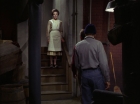 Filename=ariane179254_StarTrek_1x28_TheCityOnTheEdgeOfForever_1288.jpg
Filesize=83KiB
Dimensions=1440x1080
Date added=Sep 13, 2015 ariane179254_StarTrek_1x28_TheCityOnTheEdgeOfForever_1288.jpg