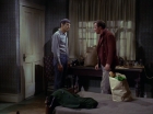 Filename=ariane179254_StarTrek_1x28_TheCityOnTheEdgeOfForever_1691.jpg
Filesize=118KiB
Dimensions=1440x1080
Date added=Sep 13, 2015 ariane179254_StarTrek_1x28_TheCityOnTheEdgeOfForever_1691.jpg