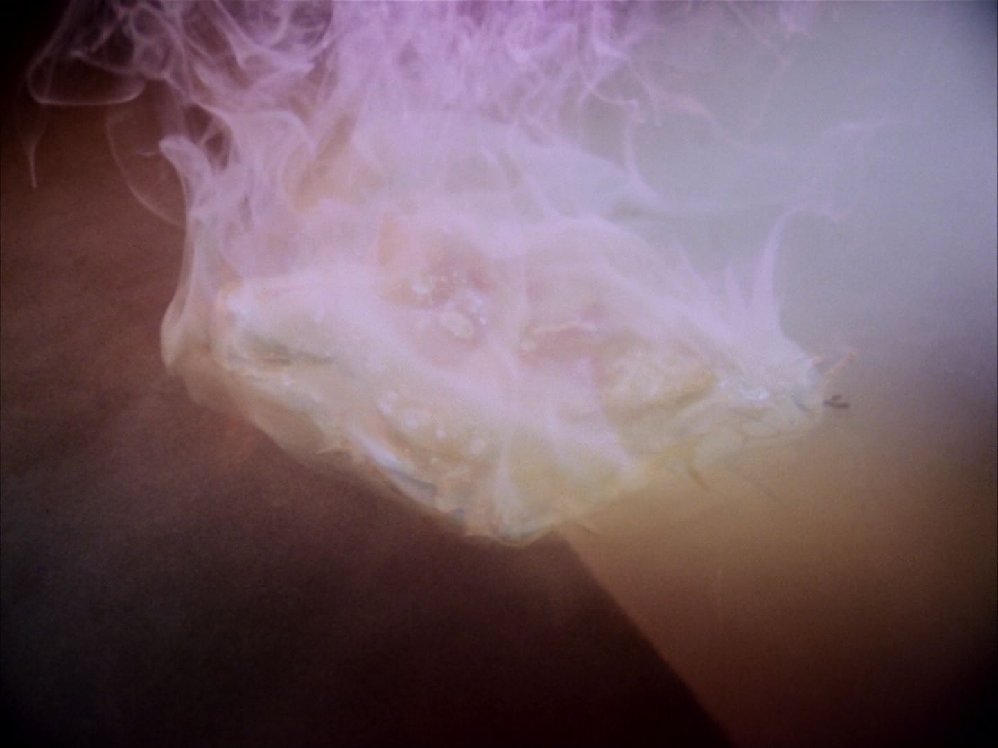 ariane179254_StarTrek_1x29_OperationAnnihilate_3029.jpg