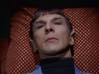 Filename=ariane179254_StarTrek_1x29_OperationAnnihilate_1585.jpg
Filesize=125KiB
Dimensions=1440x1080
Date added=Sep 13, 2015 ariane179254_StarTrek_1x29_OperationAnnihilate_1585.jpg