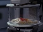 Filename=ariane179254_StarTrek_1x29_OperationAnnihilate_2261.jpg
Filesize=87KiB
Dimensions=1440x1080
Date added=Sep 13, 2015 ariane179254_StarTrek_1x29_OperationAnnihilate_2261.jpg