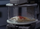 Filename=ariane179254_StarTrek_1x29_OperationAnnihilate_2264.jpg
Filesize=88KiB
Dimensions=1440x1080
Date added=Sep 13, 2015 ariane179254_StarTrek_1x29_OperationAnnihilate_2264.jpg