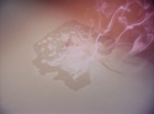 Filename=ariane179254_StarTrek_1x29_OperationAnnihilate_3050.jpg
Filesize=72KiB
Dimensions=1440x1080
Date added=Sep 13, 2015 ariane179254_StarTrek_1x29_OperationAnnihilate_3050.jpg