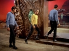Filename=ariane179254_StarTrek_2x01_AmokTime_1059.jpg
Filesize=167KiB
Dimensions=1440x1080
Date added=Jan 18, 2012 ariane179254_StarTrek_2x01_AmokTime_1059.jpg