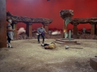 ariane179254_StarTrek_2x01_AmokTime_1680.jpg