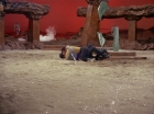 ariane179254_StarTrek_2x01_AmokTime_1738.jpg