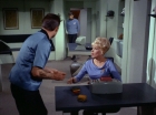 Filename=ariane179254_StarTrek_2x01_AmokTime_1923.jpg
Filesize=118KiB
Dimensions=1440x1080
Date added=Jan 18, 2012 ariane179254_StarTrek_2x01_AmokTime_1923.jpg