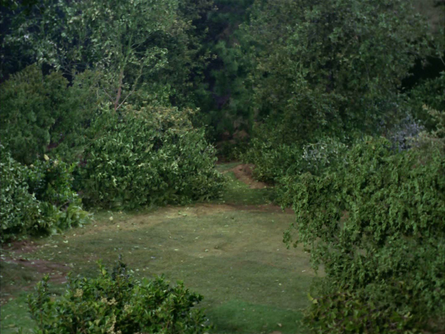ariane179254_StarTrek_2x02_WhoMournsForAdonais_1296.jpg