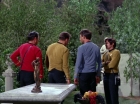Filename=ariane179254_StarTrek_2x02_WhoMournsForAdonais_0977.jpg
Filesize=198KiB
Dimensions=1440x1080
Date added=Jan 18, 2012 ariane179254_StarTrek_2x02_WhoMournsForAdonais_0977.jpg