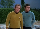 Filename=ariane179254_StarTrek_2x02_WhoMournsForAdonais_1477.jpg
Filesize=134KiB
Dimensions=1440x1080
Date added=Jan 18, 2012 ariane179254_StarTrek_2x02_WhoMournsForAdonais_1477.jpg
