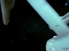 Filename=ariane179254_StarTrek_2x03_TheChangeling_1378.jpg
Filesize=107KiB
Dimensions=1440x1080
Date added=Jan 18, 2012 ariane179254_StarTrek_2x03_TheChangeling_1378.jpg