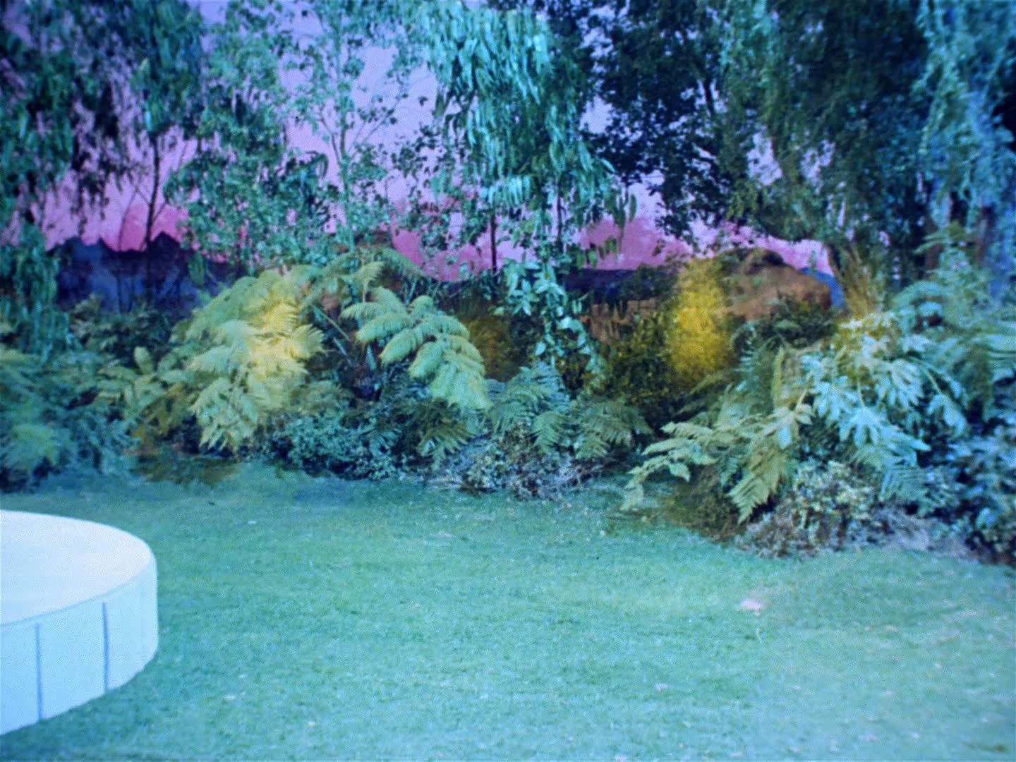 ariane179254_StarTrek_2x04_MirrorMirror_0046.jpg