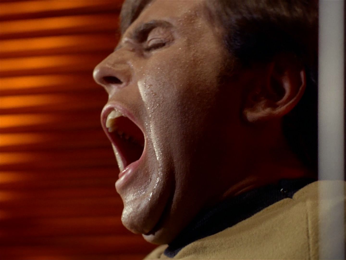 ariane179254_StarTrek_2x04_MirrorMirror_0599.jpg