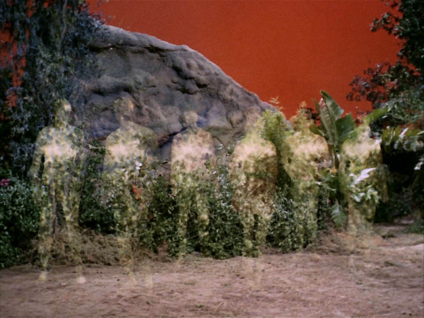 ariane179254_StarTrek_2x05_TheApple_0006.jpg
