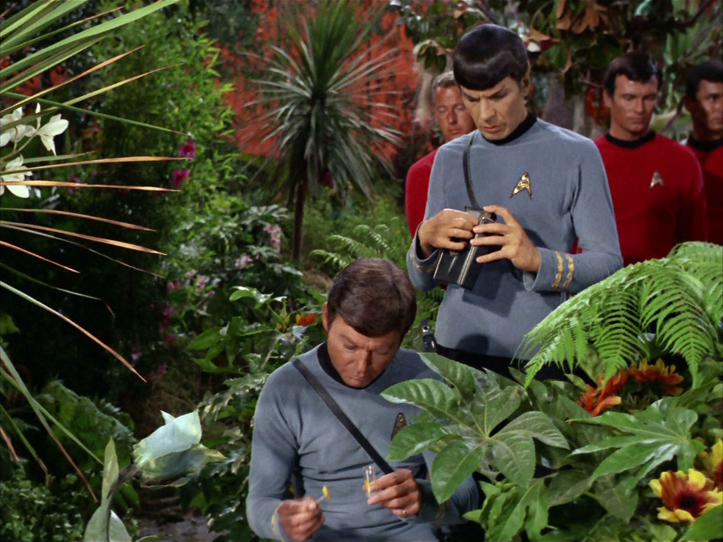 ariane179254_StarTrek_2x05_TheApple_0098.jpg