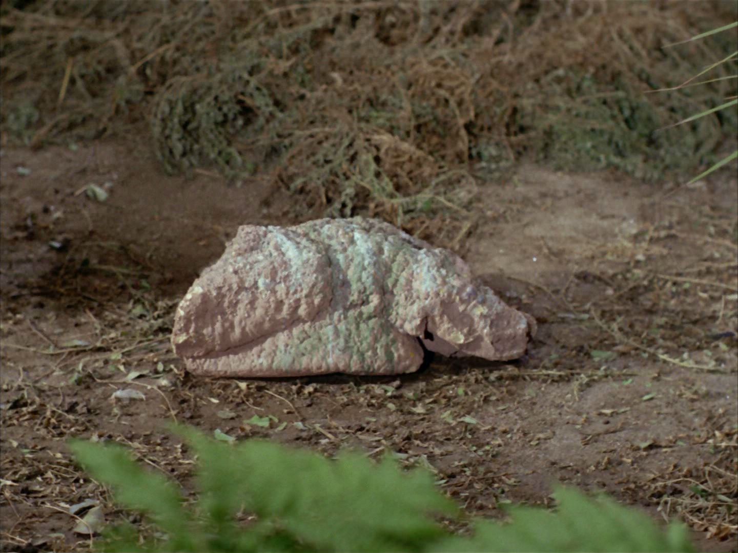 ariane179254_StarTrek_2x05_TheApple_0474.jpg