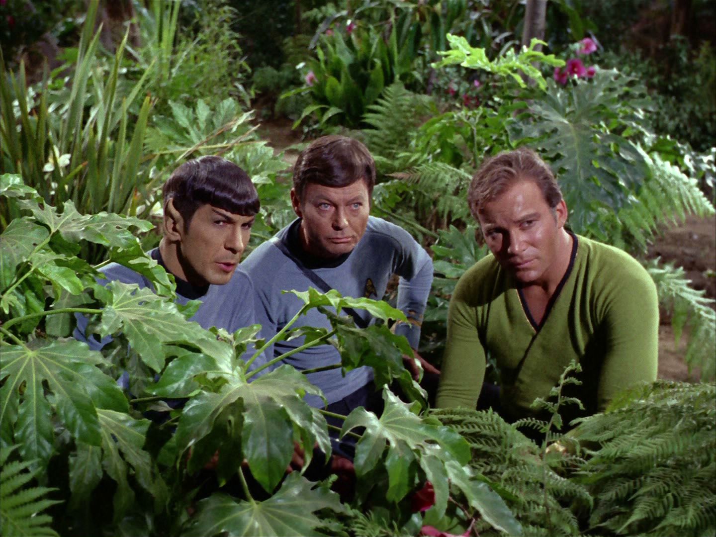 ariane179254_StarTrek_2x05_TheApple_0899.jpg