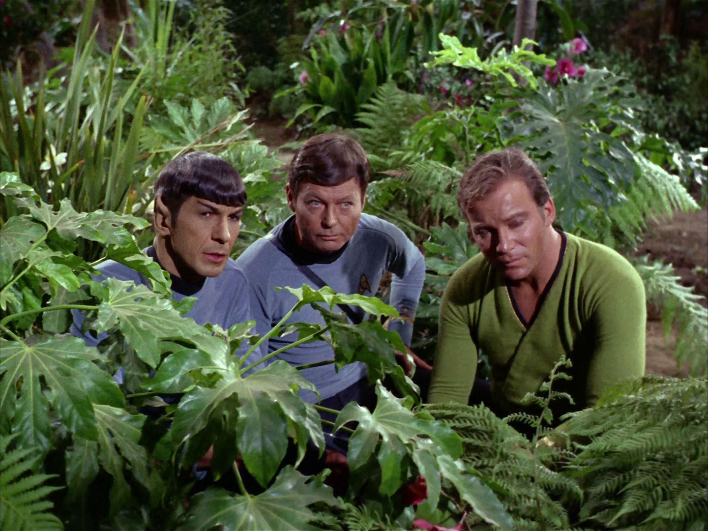ariane179254_StarTrek_2x05_TheApple_0900.jpg