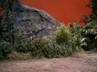 ariane179254_StarTrek_2x05_TheApple_0005.jpg