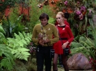 Filename=ariane179254_StarTrek_2x05_TheApple_0058.jpg
Filesize=166KiB
Dimensions=1440x1080
Date added=Jan 18, 2012 ariane179254_StarTrek_2x05_TheApple_0058.jpg