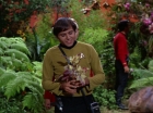 ariane179254_StarTrek_2x05_TheApple_0059.jpg