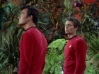 Filename=ariane179254_StarTrek_2x05_TheApple_0076.jpg
Filesize=134KiB
Dimensions=1440x1080
Date added=Jan 18, 2012 ariane179254_StarTrek_2x05_TheApple_0076.jpg