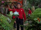 Filename=ariane179254_StarTrek_2x05_TheApple_0079.jpg
Filesize=167KiB
Dimensions=1440x1080
Date added=Jan 18, 2012 ariane179254_StarTrek_2x05_TheApple_0079.jpg