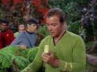 Filename=ariane179254_StarTrek_2x05_TheApple_0120.jpg
Filesize=151KiB
Dimensions=1440x1080
Date added=Jan 18, 2012 ariane179254_StarTrek_2x05_TheApple_0120.jpg