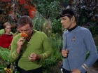 Filename=ariane179254_StarTrek_2x05_TheApple_0132.jpg
Filesize=173KiB
Dimensions=1440x1080
Date added=Jan 18, 2012 ariane179254_StarTrek_2x05_TheApple_0132.jpg