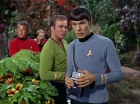 Filename=ariane179254_StarTrek_2x05_TheApple_0154.jpg
Filesize=169KiB
Dimensions=1440x1080
Date added=Jan 18, 2012 ariane179254_StarTrek_2x05_TheApple_0154.jpg