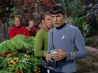 ariane179254_StarTrek_2x05_TheApple_0155.jpg