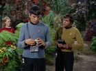 Filename=ariane179254_StarTrek_2x05_TheApple_0168.jpg
Filesize=182KiB
Dimensions=1440x1080
Date added=Jan 18, 2012 ariane179254_StarTrek_2x05_TheApple_0168.jpg