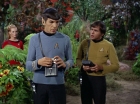 Filename=ariane179254_StarTrek_2x05_TheApple_0170.jpg
Filesize=181KiB
Dimensions=1440x1080
Date added=Jan 18, 2012 ariane179254_StarTrek_2x05_TheApple_0170.jpg